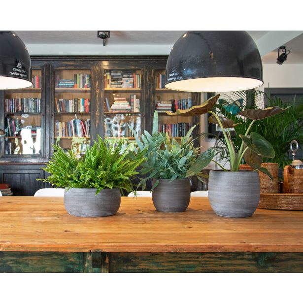 KERAMIČNI NOTRANJI LONEC SELENE 25 CM SIV