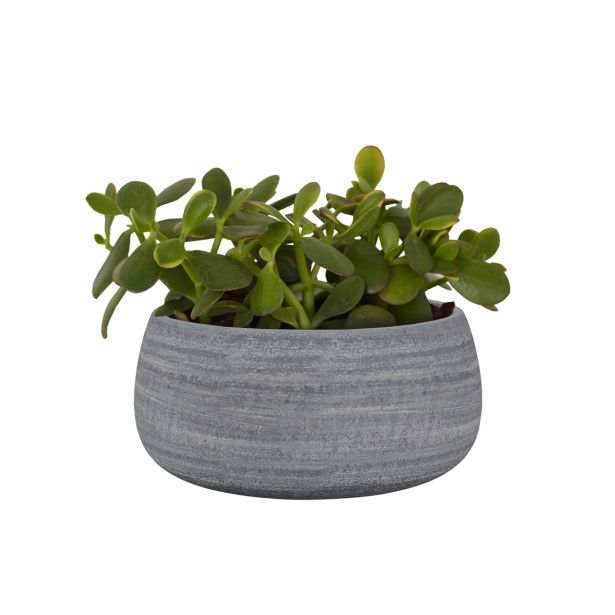 KERAMIČNI NOTRANJI LONEC SELENE 29 CM SIV