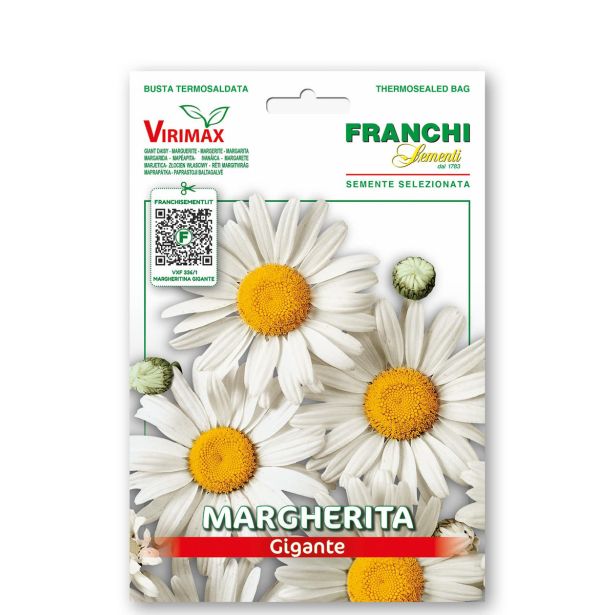 SEME CVETOČE RASTLINE FRANCHI SEMENTI MARJETICA VELIKOCVETNA VXF 336/1