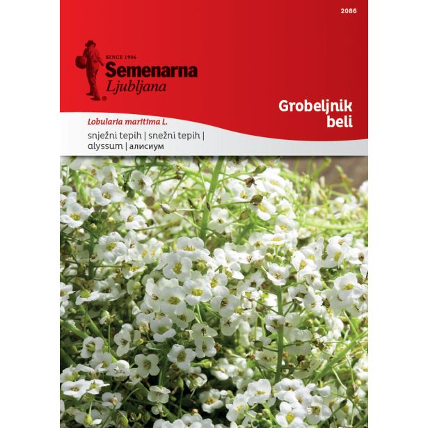 SEME CVETOČE RASTLINE SEMENARNA GROBELJNIK BELI 2086