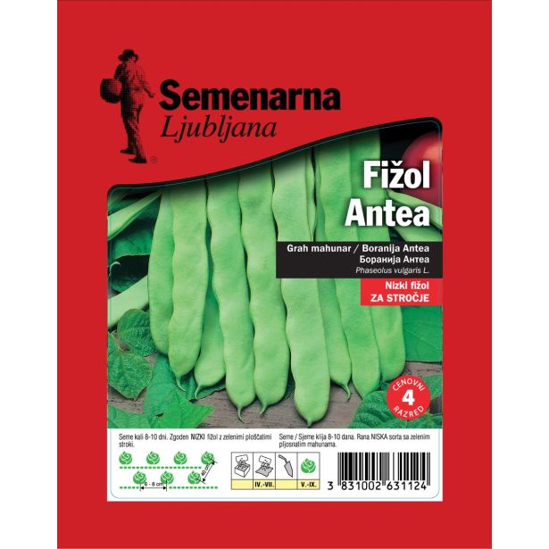 SEME STROČNIC SEMENARNA FIŽOL ANTEA 100 G