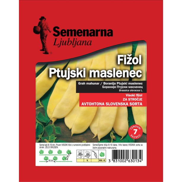 SEME STROČNIC SEMENARNA FIŽOL PTUJSKI MASLENEC VISOK RUMENOSTROČNI 100 G