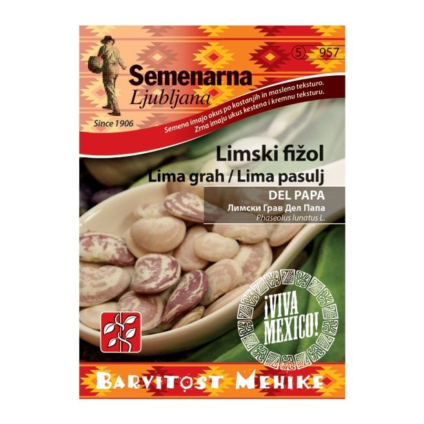 SEME STROČNIC SEMENARNA LIMSKI FIŽOL DEL PAPA M.V. MEHIKA