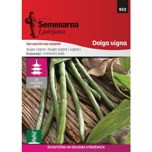 SEME STROČNIC SEMENARNA ŠPARGLJEV FIŽOL OZ. VIGNA AZIJA
