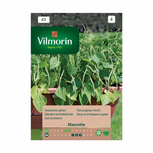 SEME STROČNIC VILMORIN FIŽOL NIZEK MASCOTTE BALKONSKI