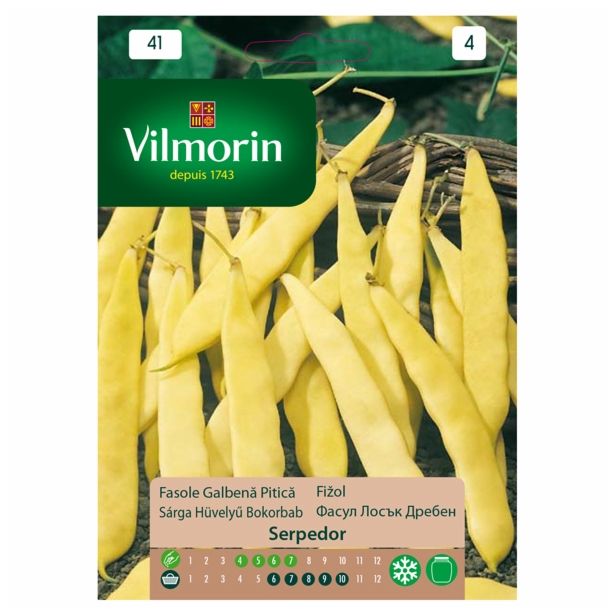 SEME STROČNIC VILMORIN FIŽOL NIZEK SERPEDOR
