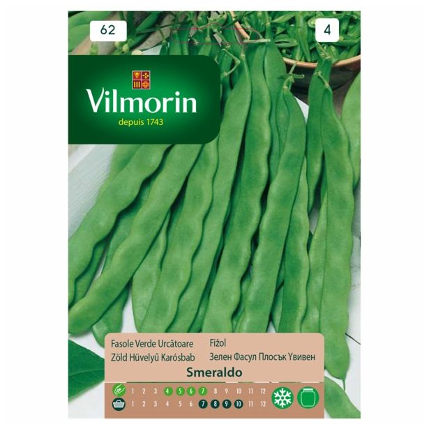 SEME STROČNIC VILMORIN FIŽOL VISOK SMERALDO