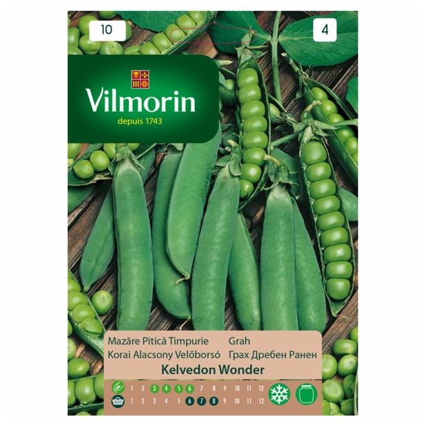 STROČNICA VILMORIN GRAH KELVEDON WONDER