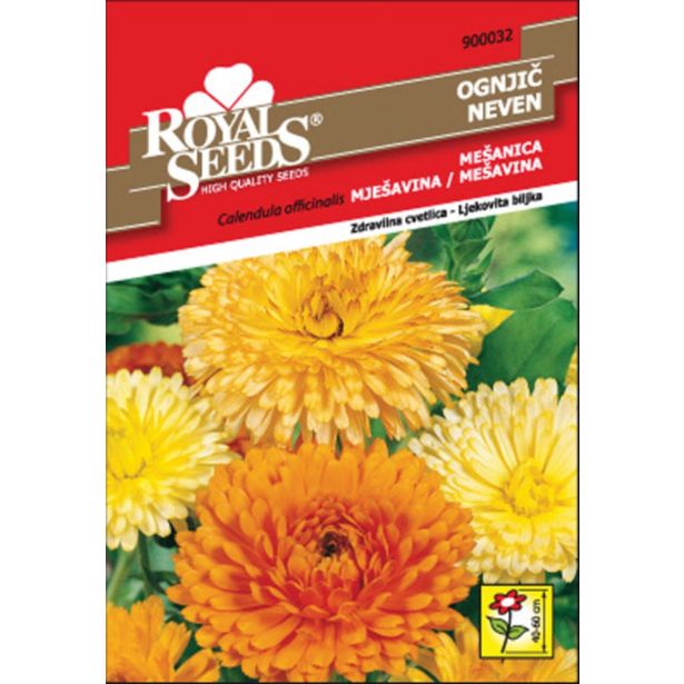 OGNJIČ ROYAL SEEDS MEŠ. 32