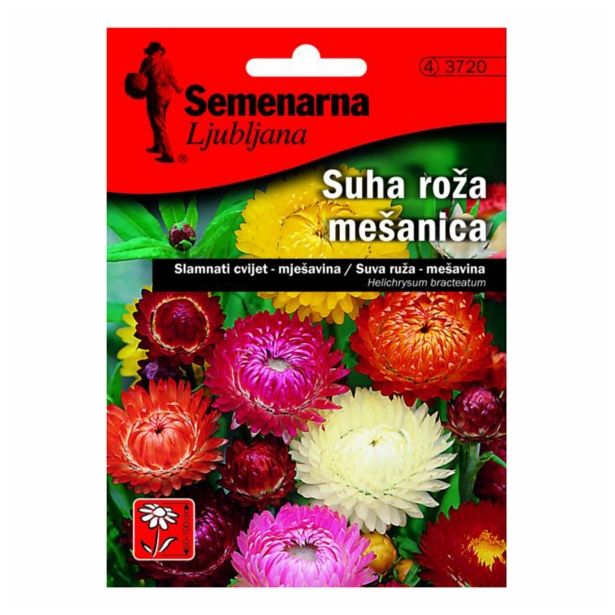 SUHA ROŽA SEMENARNA MEŠANICA V MALI VREČICI 3720