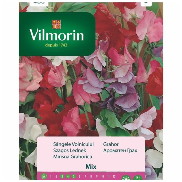 SEME CVETOČE RASTLINE VILMORIN GRAHOR MEŠANICA