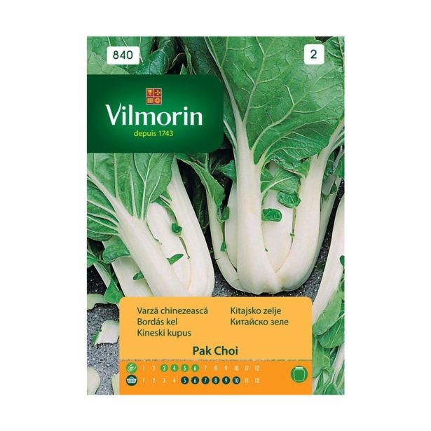 SEMENA CVETOČIH RASTLIN VILMORIN KITAJSKO ZELJE PAK CHOI