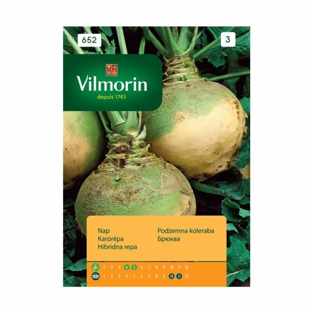 KORENOVKA VILMORIN KOLERABA PODZEMNA WILHELMSBURGER