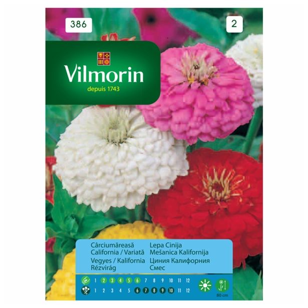 CINIJA VILMORIN LEPA MEŠANICA KALIFORNIJA