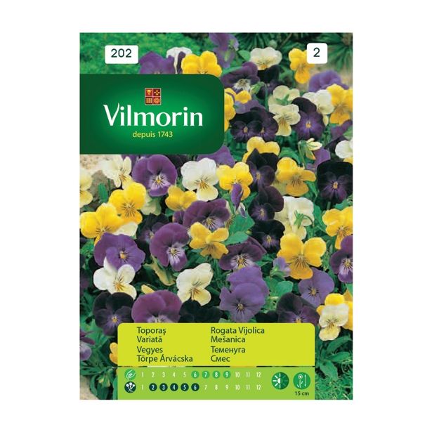SEMENA CVETOČIH RASTLIN VILMORIN MAČEHA CORNUTA MIX