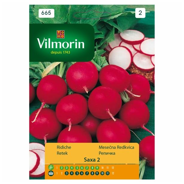 SEMENA CVETOČIH RASTLIN VILMORIN MESEČNA REDKVICA SAXA 2