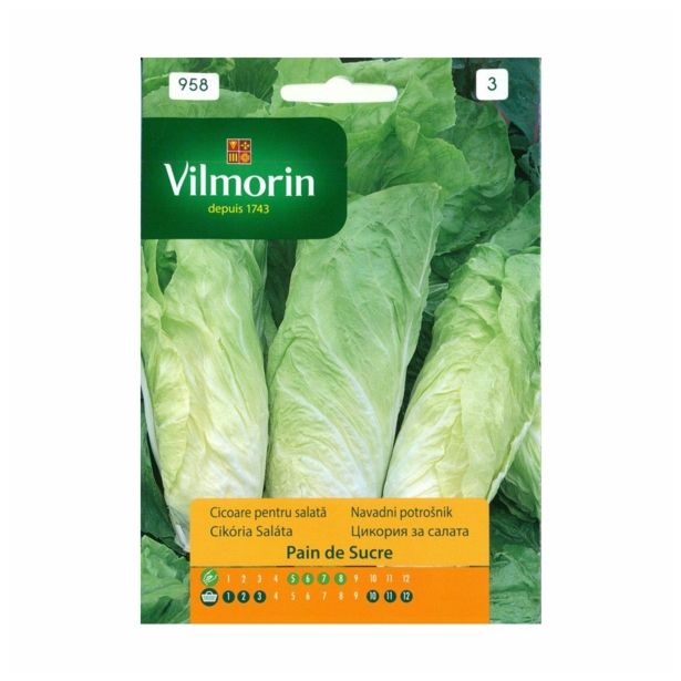 SEME CVETOČE RASTLINE VILMORIN NAVADNI POTROŠNIK PAIN DE SUCRE
