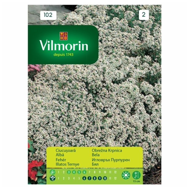 SEMENA CVETOČIH RASTLIN VILMORIN OBREŽNA KRPNICA BELA