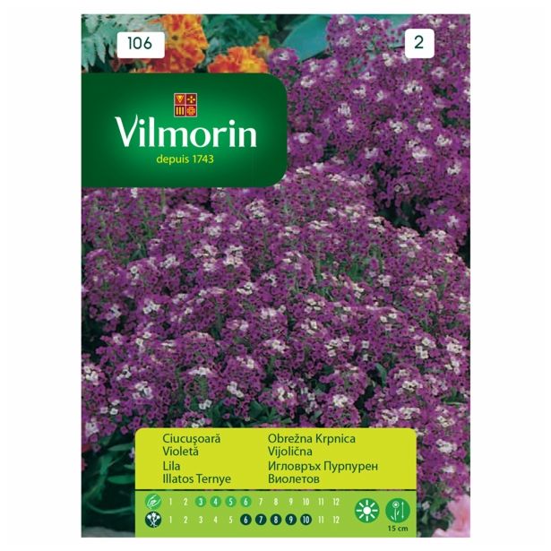 SEMENA CVETOČIH RASTLIN VILMORIN OBREŽNA KRPNICA VIJOLIČNA