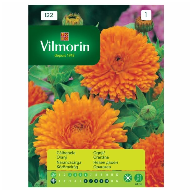 OGNJIČ VILMORIN ORANŽEN