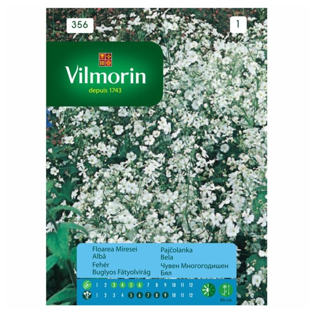 SEME CVETOČE RASTLINE VILMORIN PAJČOLANKA BELA