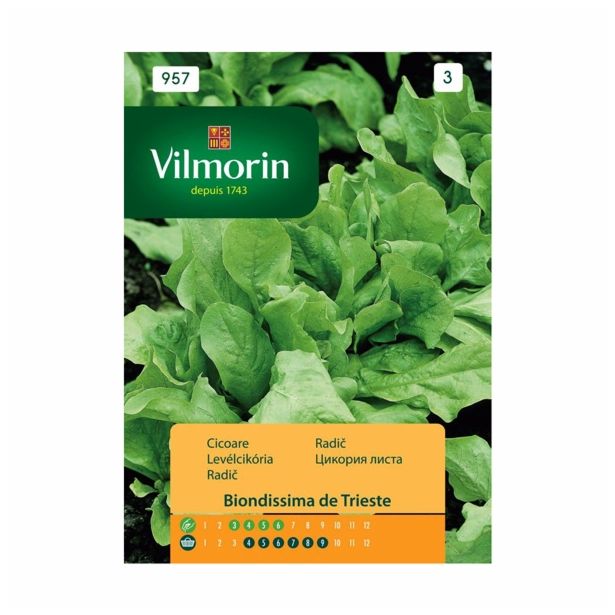 SEMENA CVETOČIH RASTLIN VILMORIN RADIČ BIONDISSIMA DE TRIESTE