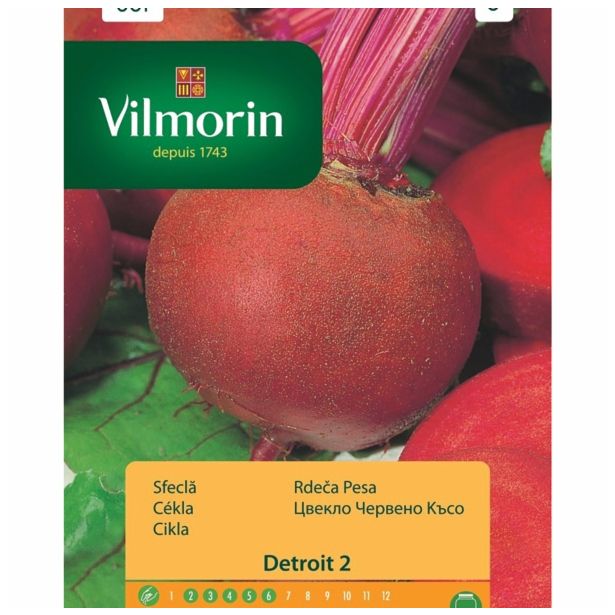 SEMENA CVETOČIH RASTLIN VILMORIN RDEČA PESA DETROIT 3