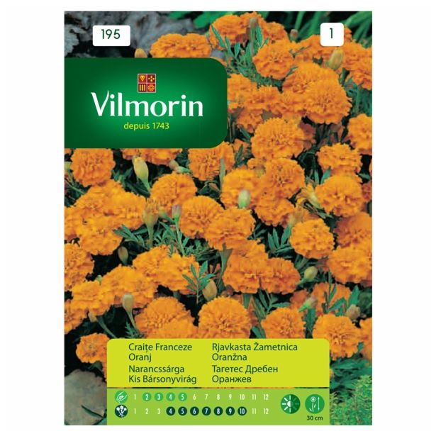 SEMENA CVETOČIH RASTLIN VILMORIN RJAVKASTA ŽAMETNICA ORANŽNA
