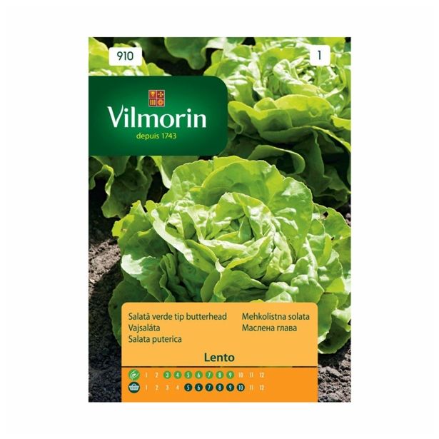 SEMENA CVETOČIH RASTLIN VILMORIN SOLATA LENTO