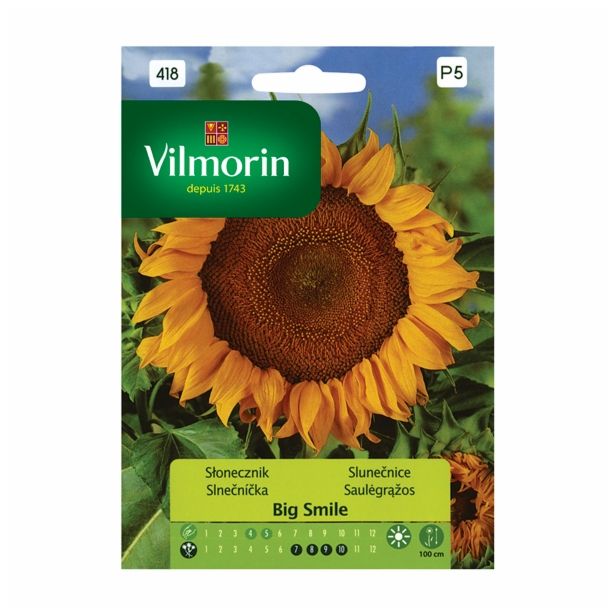SONČNICA VILMORIN BIG SMILE