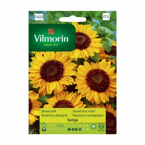 SONČNICA VILMORIN SONJA MINI