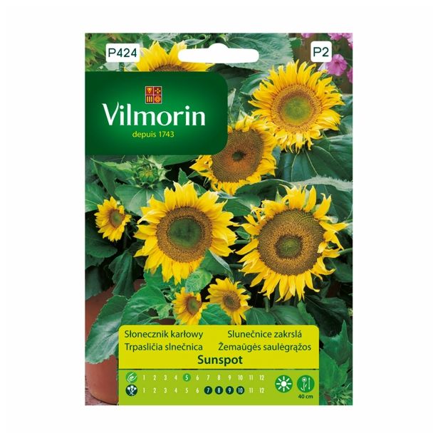 SEMENA CVETOČIH RASTLIN VILMORIN SONČNICA SUNSPOT