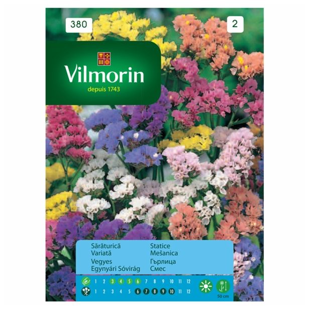 STATICA VILMORIN MEŠANICA