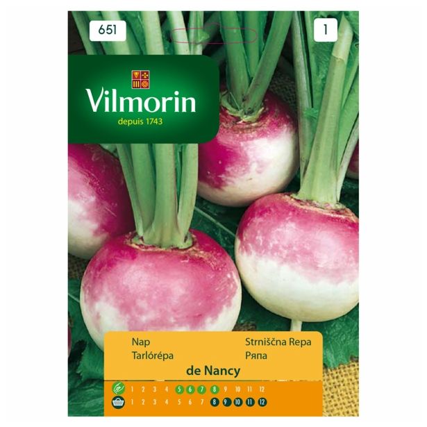 KORENOVKA VILMORIN STRNIŠČNA REPA DE NANCY