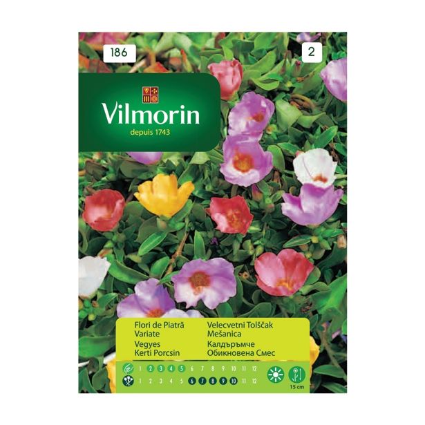 SEMENA CVETOČIH RASTLIN VILMORIN VELECVETNI TOLŠČAK MEŠANICA