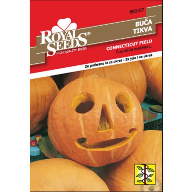 PLODOVKA ROYAL SEEDS BUČA CONNECTICUT F. 167