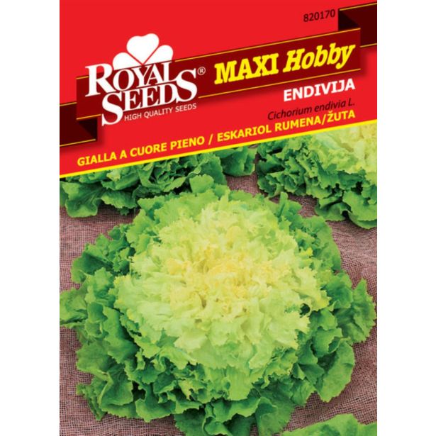 ENDIVIJA ESKARIOL RUMENA