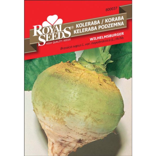 SEMENA ROYAL SEEDS KOLERABA RUMENA W. 37
