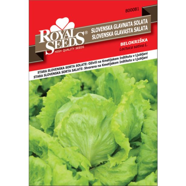 SEMENA ROYAL SEEDS SOLATA BELOKRIŠKA 81