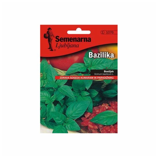 BAZILIKA SEMENARNA OCIMUM BASILICUM V MALI VREČICI 1076