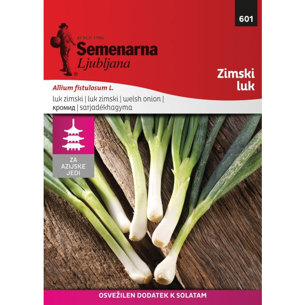 SEME DIŠAVNICE SEMENARNA ČEBULA STOLETNA (ALLIUM FISTULOSUM) M.V. AZIJA601
