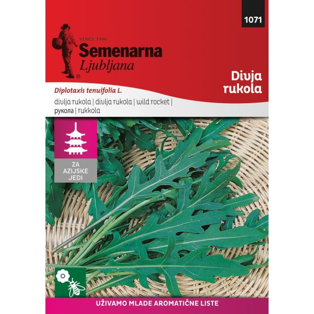 LISTNA ZELENJAVA SEMENARNA DIVJA RUKVICA(TANKOLISTNI DVOREDEC) M.V. AZIJA 1071