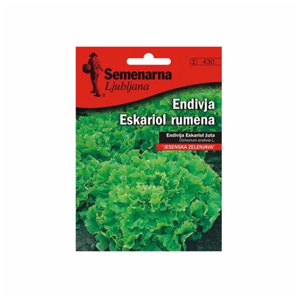 LISTNA ZELENJAVA SEMENARNA ENDIVIJA ESKARIOL RUMENA V MALI VREČICI 430