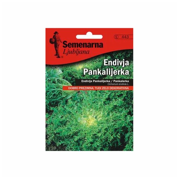 LISTNA ZELENJAVA SEMENARNA KODROLISTNA ENDIVIJA 443 PANKALIJERKA V MALI VREČ.