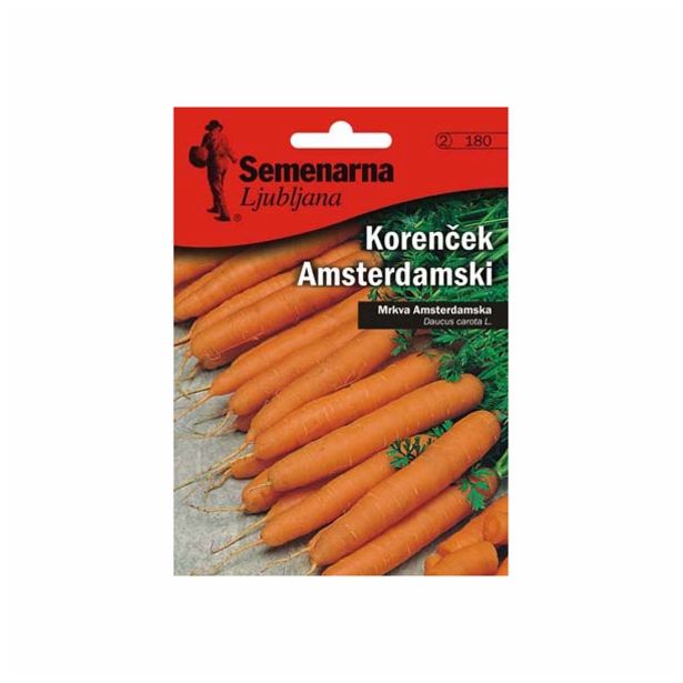KORENOVKA SEMENARNA KORENČEK AMSTERDAMSKI V MALI VREČICI 180