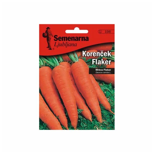 KORENOVKA SEMENARNA KORENČEK FLAKEER V MALI VREČICI 198