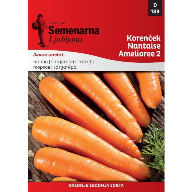 KORENOVKA SEMENARNA KORENČEK NANTES V MALI VREČICI 189