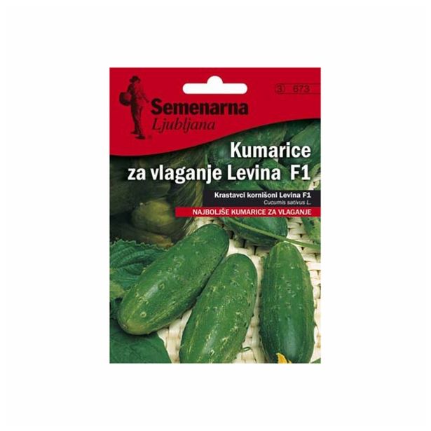 PLODOVKA SEMENARNA KUMARE LEVINA F1 V MALI VREČICI 673