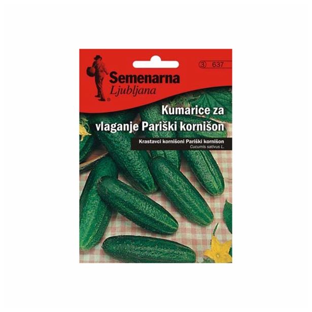 PLODOVKA SEMENARNA KUMARE PARIŠKI KORNIŠON V MALI VREČICI 637
