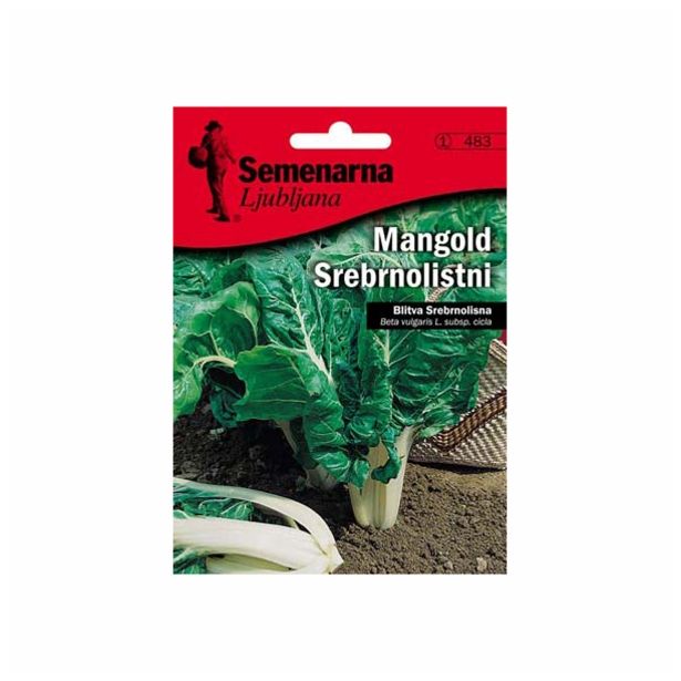 LISTNA ZELENJAVA SEMENARNA MANGOLD SREBRNOLISTNI V MALI VREČICI 483